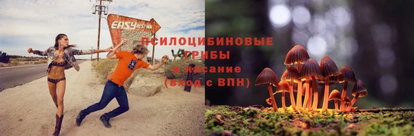индика Волоколамск