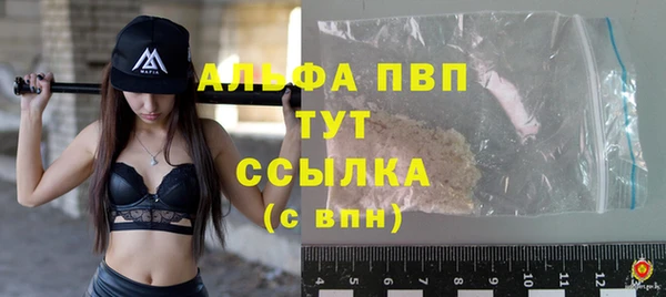 индика Волоколамск