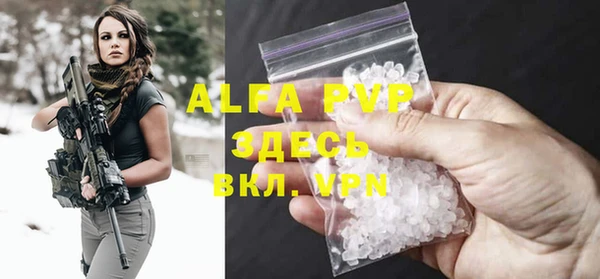 индика Волоколамск