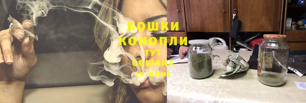 индика Волоколамск