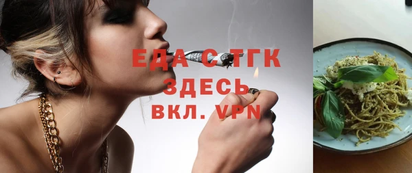 индика Волоколамск