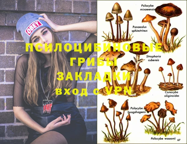 индика Волоколамск