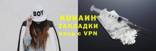 индика Волоколамск