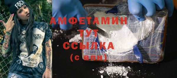 индика Волоколамск