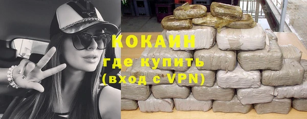 индика Волоколамск