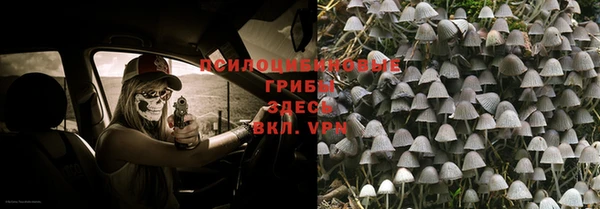 стафф Волосово