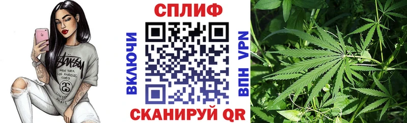 Каннабис White Widow  Купить  Кодинск 